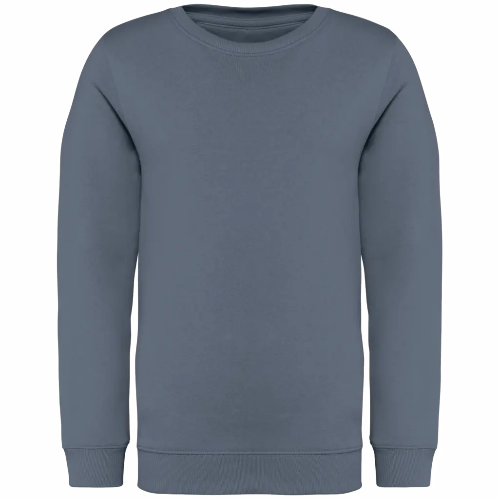 Printed Kids Organic Sweater NS403 Crew Neck 4-14 Years — product photo 11