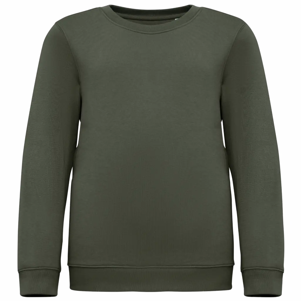 Printed Kids Organic Sweater NS403 Crew Neck 4-14 Years — product photo 14