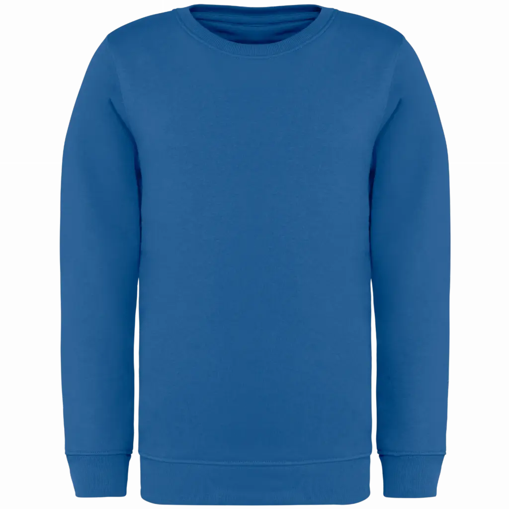 Printed Kids Organic Sweater NS403 Crew Neck 4-14 Years — product photo 15