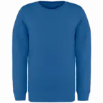 Printed Kids Organic Sweater NS403 Crew Neck 4-14 Years — product photo 15