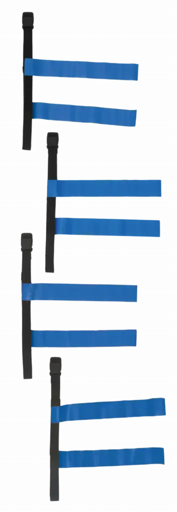Tag Belt, black / royal blue — productfoto 5