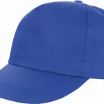 PS_RC080X_ROYALBLUE - Hidalgo-werbeartikel Houston Printers pet, royal blue — productfoto 15