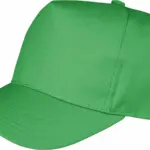 Boston pet, apple green — productfoto 2