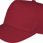 Boston pet, burgundy — productfoto 6