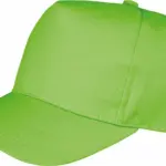 Boston pet, lime — productfoto 9