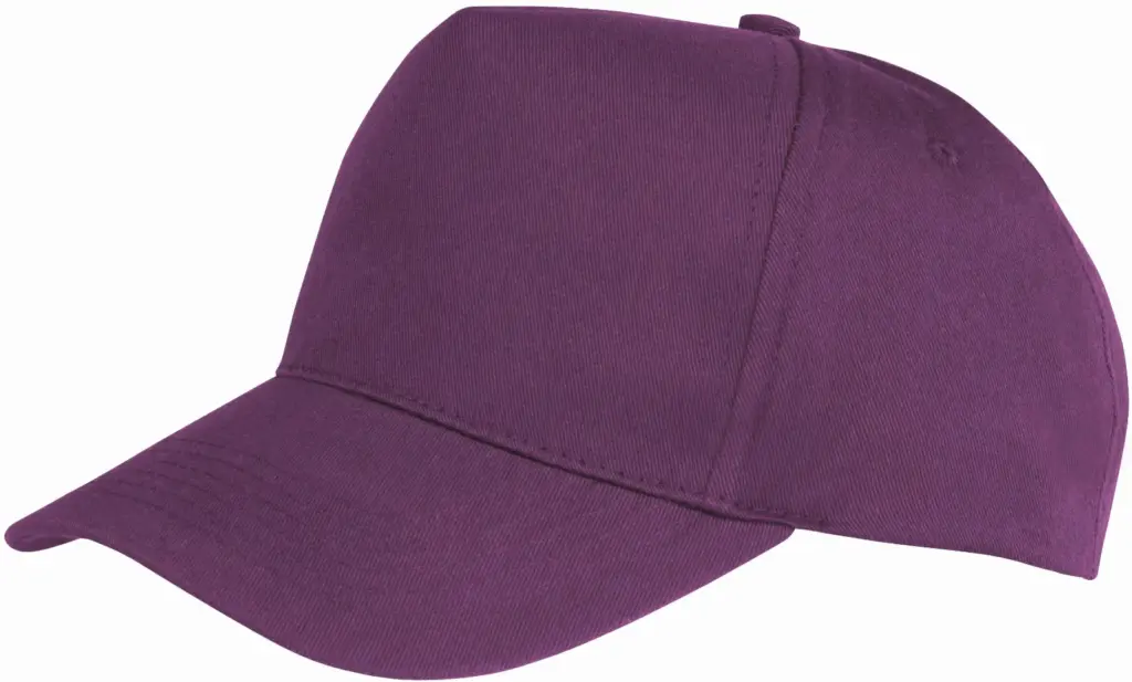 Boston pet, purple — productfoto 13