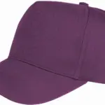 Boston pet, purple — productfoto 13