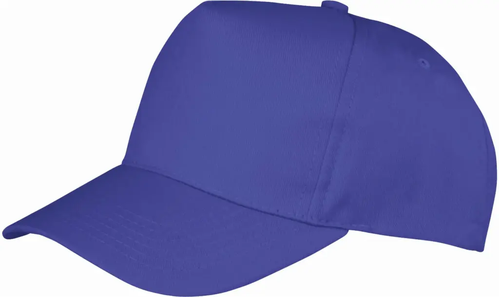 Boston pet, royal blue — productfoto 15