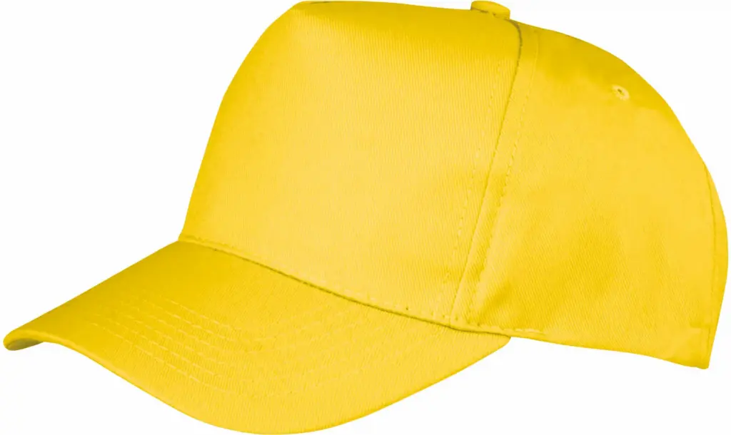 Boston pet, yellow — productfoto 18