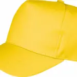 Boston pet, yellow — productfoto 18