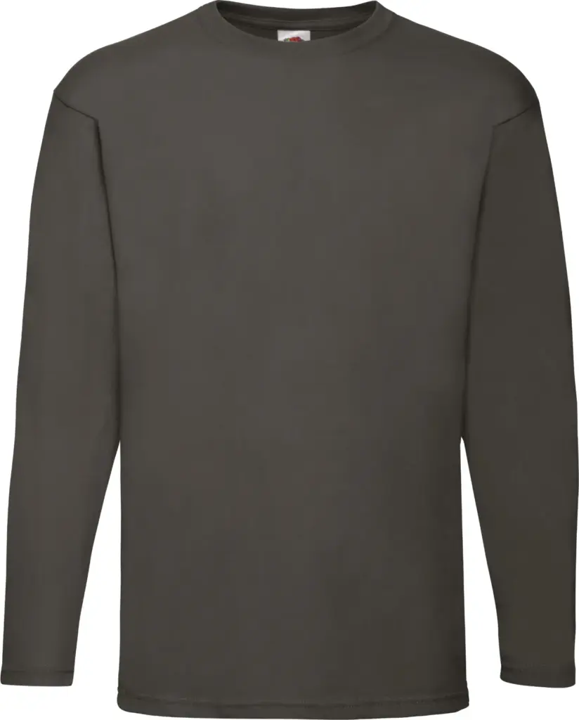 Valueweight Long Sleeve T (61-038-0), light graphite — productfoto 11