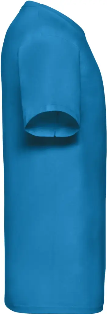 Men's Valueweight V-neck T-shirt (61-066-0), azur blue — productfoto 5