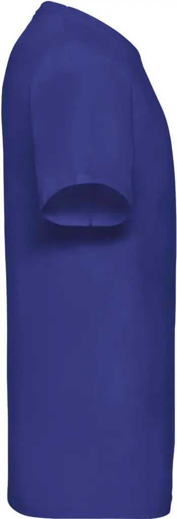 Men's Valueweight V-neck T-shirt (61-066-0), royal blue — productfoto 15
