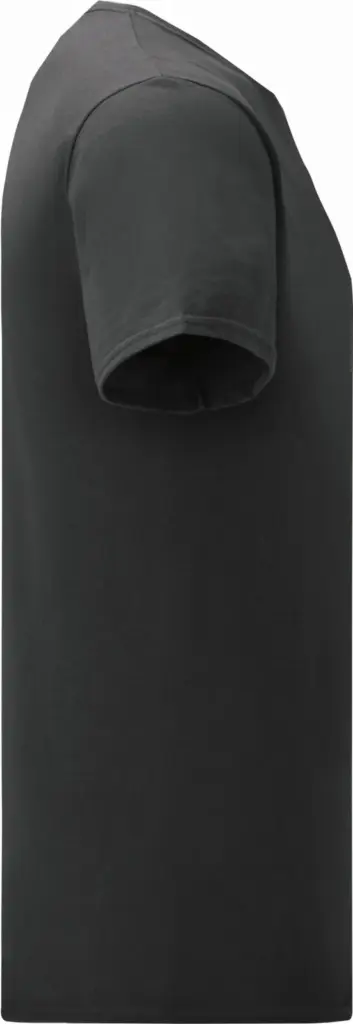 Iconic-T Men's T-shirt, black — productfoto 5