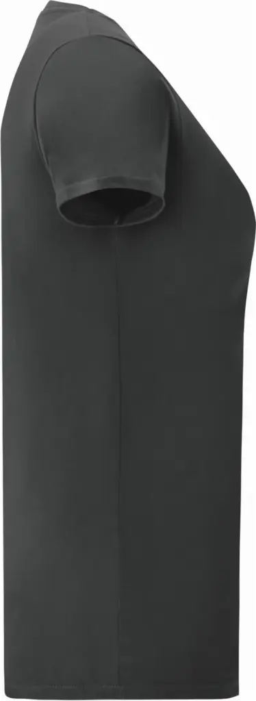 Iconic-T Ladies' T-shirt, black — productfoto 6