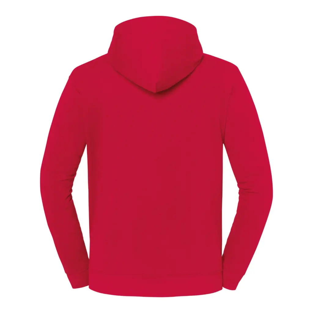 Custom Hoodie SC62294 Iconic 250 Cotton Pocket S-3XL — product photo 13