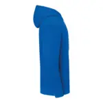 Hoodie Iconic 250, royal blue — productfoto 13