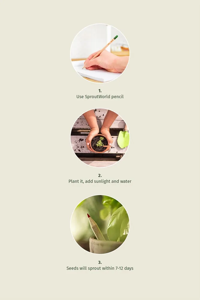 Plantable Pencil with Seeds Custom Logo Printed — product photo 5
