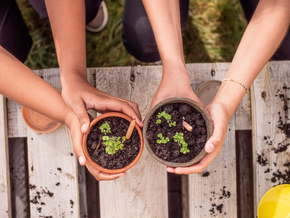 Plantable Pencil with Seeds Custom Logo Printed — product photo 9