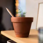 Plantable Pencil with Seeds Custom Logo Printed — product photo 11