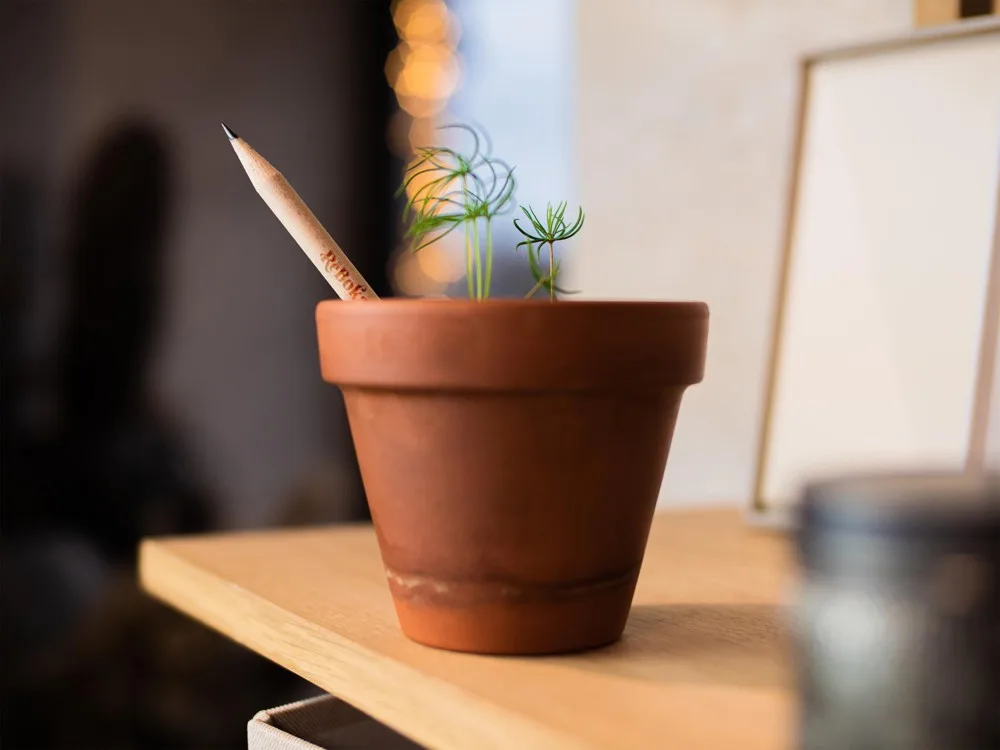 Plantable Pencil with Seeds Custom Logo Printed — product photo 11