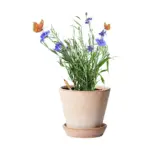 Plantable Pencil with Seeds Custom Logo Printed — product photo 12