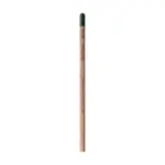 Plantable Pencil with Seeds Custom Logo Printed
