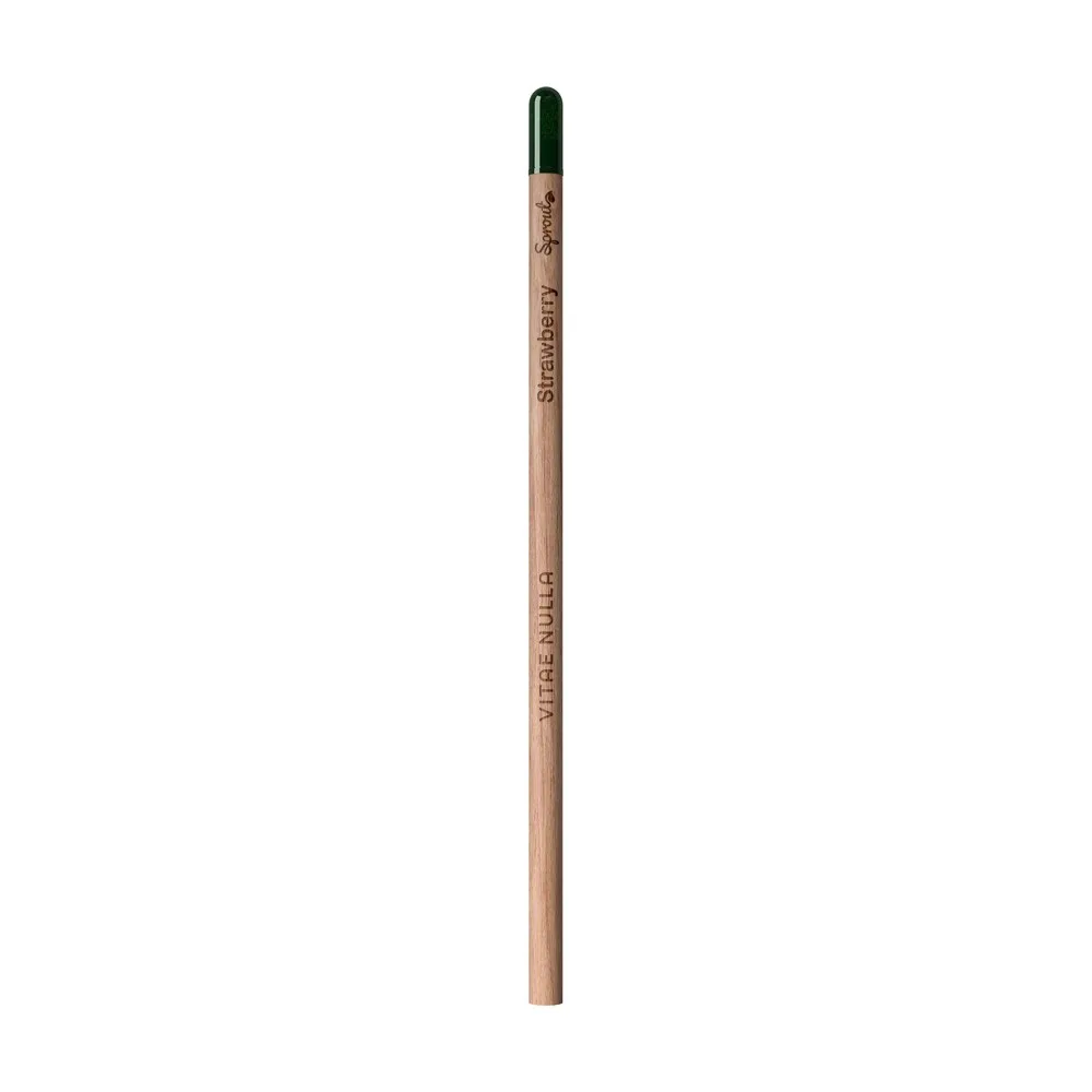 Plantable Pencil with Seeds Custom Logo Printed