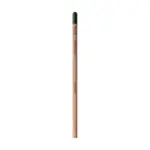Plantable Pencil with Seeds Custom Logo Printed