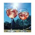 HappyGlass Miss Liza Gin-Tonic Glass Tritan 630 ml — productfoto 4