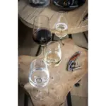 Riviera Wijnglas 350 ml — productfoto 3