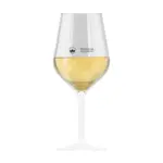 HappyGlass Lady Abigail Colour Wijnglas Tritan 470 ml — productfoto 2
