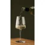 Caselli Wijnglas 370 ml — productfoto 4