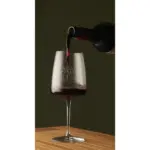 Caselli Wijnglas 470 ml — productfoto 4