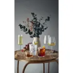 Ribbio Wijnglas 535 ml — productfoto 2