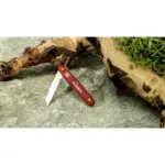 Victorinox Ecoline Bloemenmes — productfoto 6