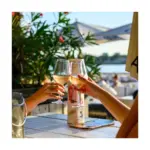HappyGlass Lady Abigail Wijnglas Tritan 470 ml — productfoto 2
