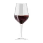 HappyGlass Lady Abigail Wijnglas Tritan 470 ml — productfoto 3