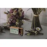 Green Balls mini-ecosysteem — productfoto 6