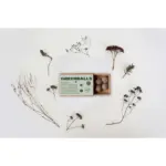 Green Balls mini-ecosysteem — productfoto 7