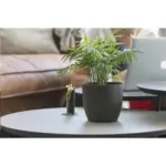 Coffee Flowerpot bloempot — productfoto 4