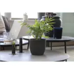 Coffee Flowerpot bloempot — productfoto 5