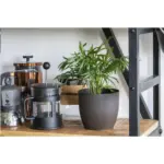 Coffee Flowerpot bloempot — productfoto 6
