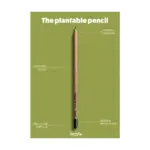 Custom Plantable Pencils Sproutworld Unsharpened — product photo 6