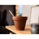 Custom Plantable Pencils Sproutworld Unsharpened — product photo 9