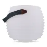 1616 | Coollux sfeerlamp en draadloze luidspreker — productfoto 8
