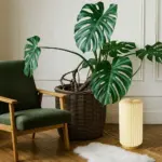 Coollux vouwbare papieren  LED lamp Aurora Tall op houten voet, 32cm — productfoto 8