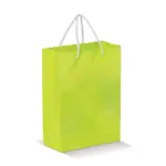 Draagtas papier klein 200g/m2 — productfoto 2