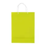 Draagtas papier groot 200g/m2 — productfoto 4