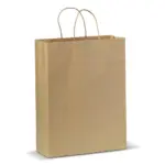 Draagtas papier groot 120g/m² — productfoto 2